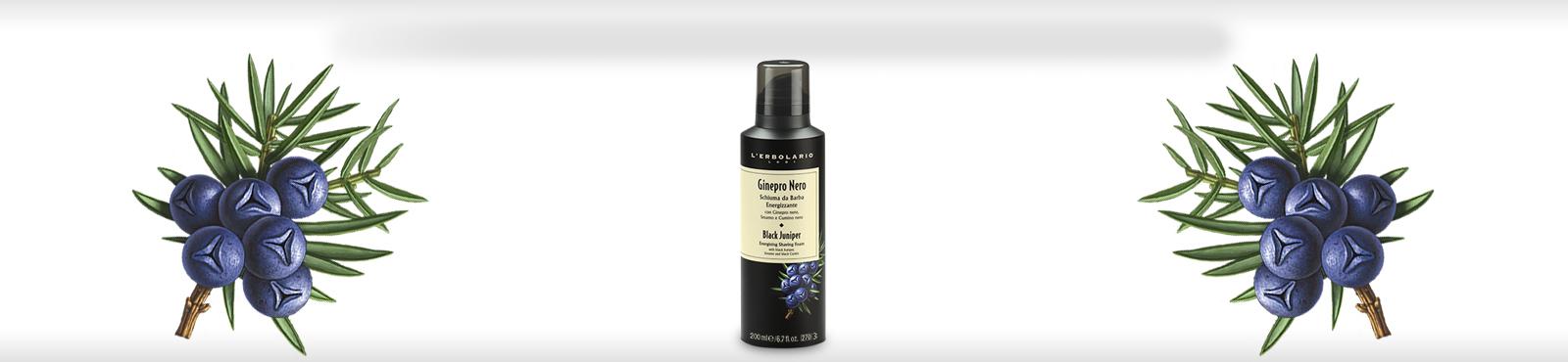 LERB GINEPRO BOROTVAHAB.jpg